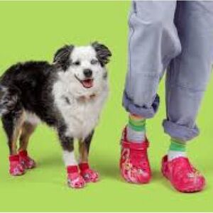 Crocs Pet Boots Dragon Fruit (Size: S)